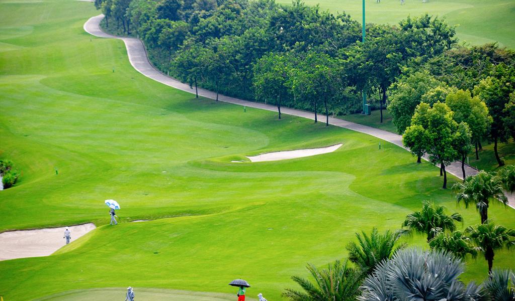 70 MODEL SÂN GOLF